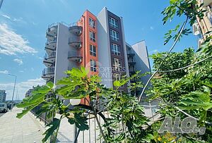 image_15