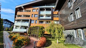 image_12