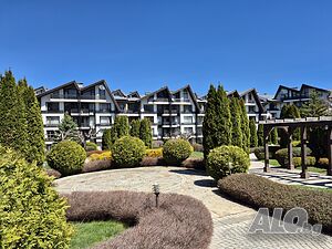 image_11