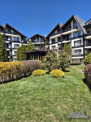 image_12