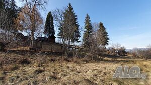 image_9