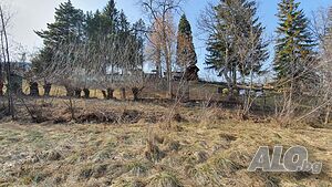 image_11