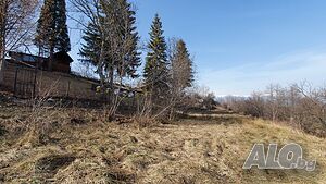 image_12