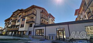 image_11