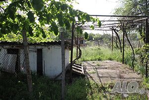 image_11