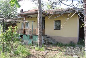 image_12