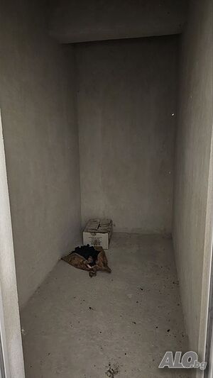image_13