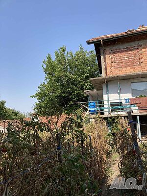 image_5