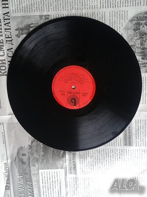 image_8