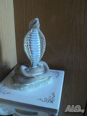image_11
