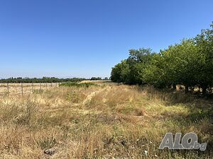 УПИ в с. Цалапица 3181 кв. м
