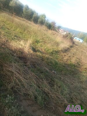 image_6