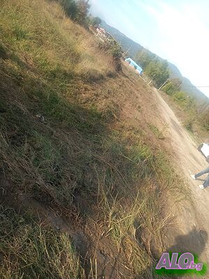 image_9