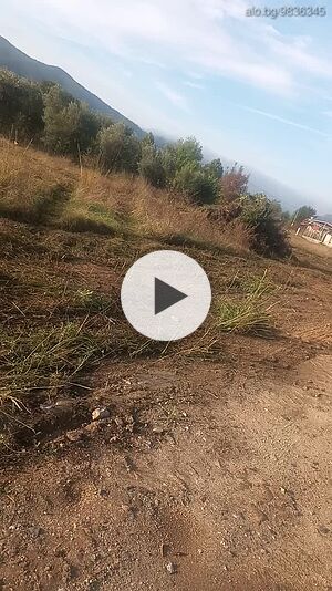 image_10