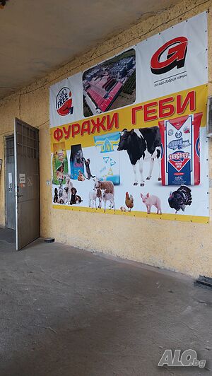 image_10