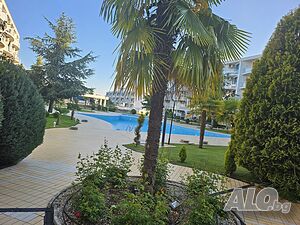 image_11