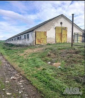 купувам поливна земя 1,2 и 3-та категория в област Добрич, Силистра, плащане веднага