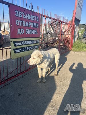 image_7