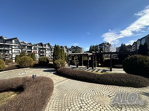 image_41