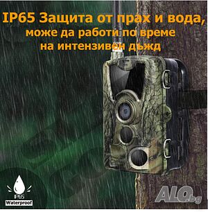 image_5