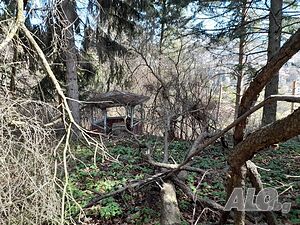 image_8