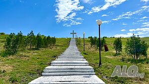 image_15
