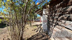 image_11
