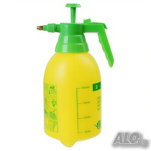 image_2
