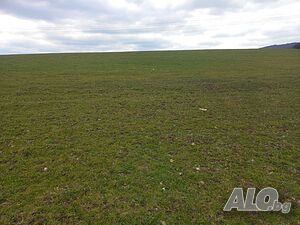 Продавам земеделска земя