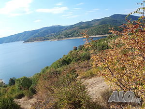парцели снежинка
