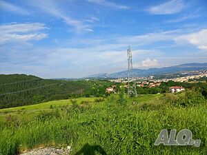 image_7