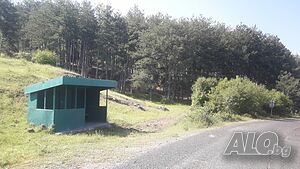 Продавам борова гора с. Метличка