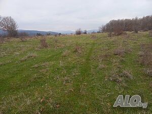 image_7