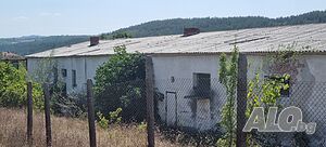 image_3