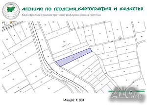 image_4