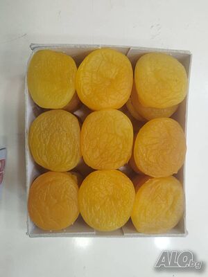 image_7
