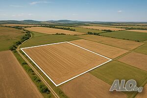 Парцел 6091 м² в Кошарица, местност Бостан Тарпа