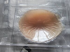 image_3