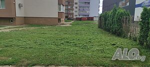 image_7