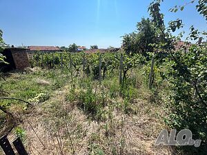 image_8