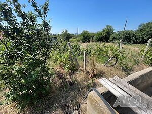 image_9