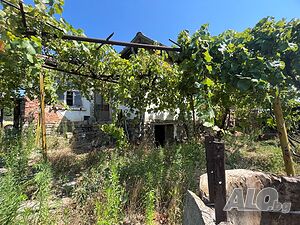 image_10