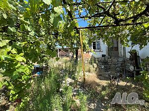 image_11