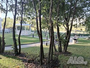 image_12