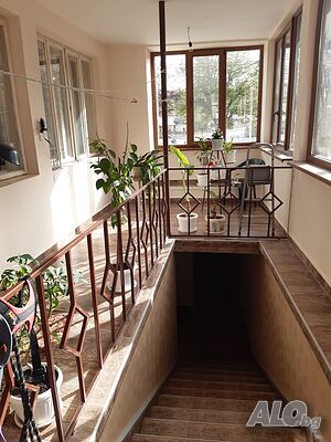image_6