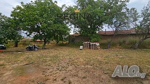 image_12