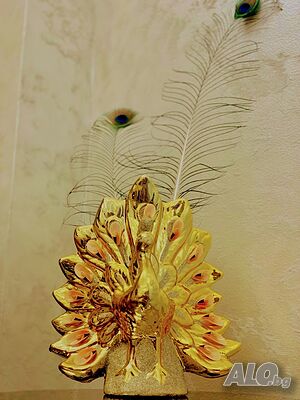 image_12
