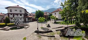image_11