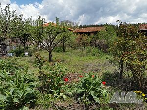 image_13