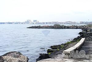 image_12